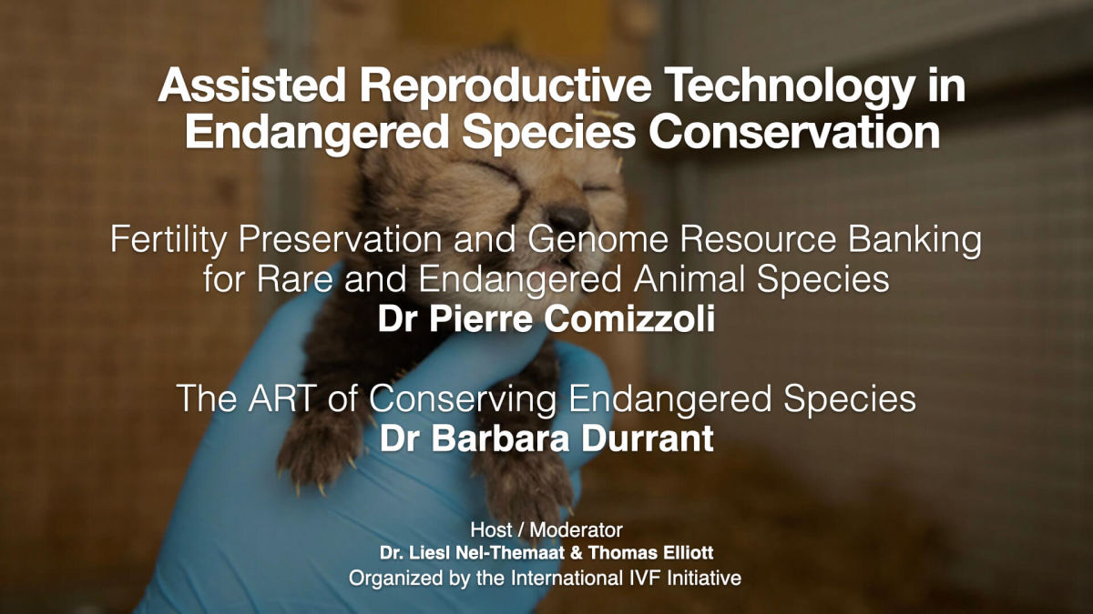i3 Session 26: Assisted Reproductive Technology in Endangered Species Conservation