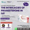 The Intricacies of Progesterone in IVF