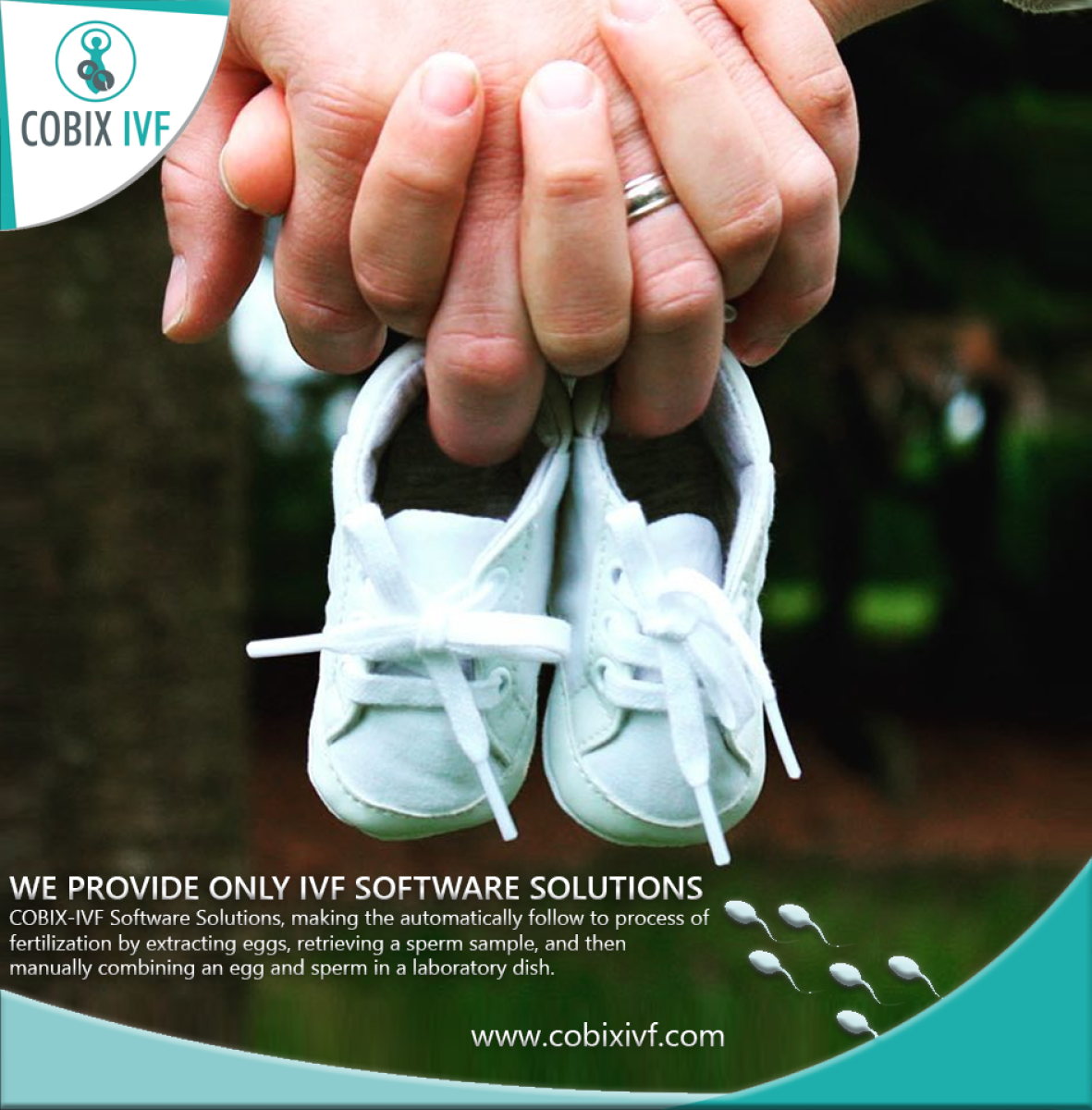 COBIX-IVF Witness System