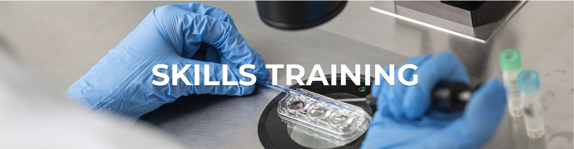 Elevating Embryology and Andrology Skills: Top Training Opportunities in the United States